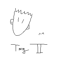 tmg2.gif