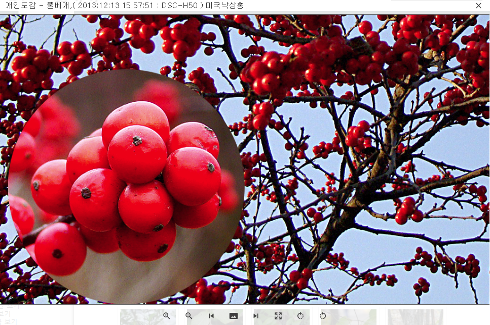 responsive photo viewer 애드온