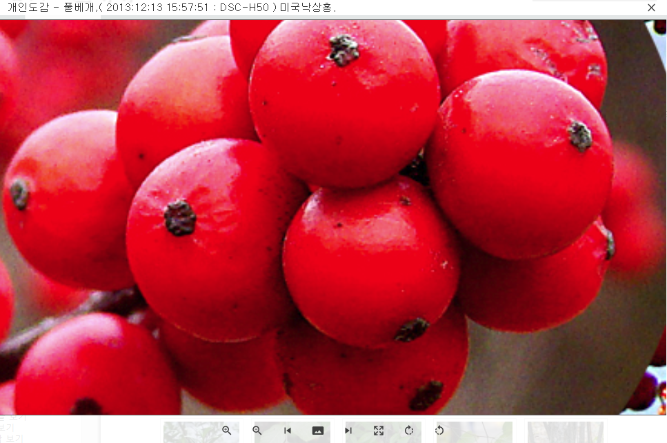 responsive photo viewer 애드온