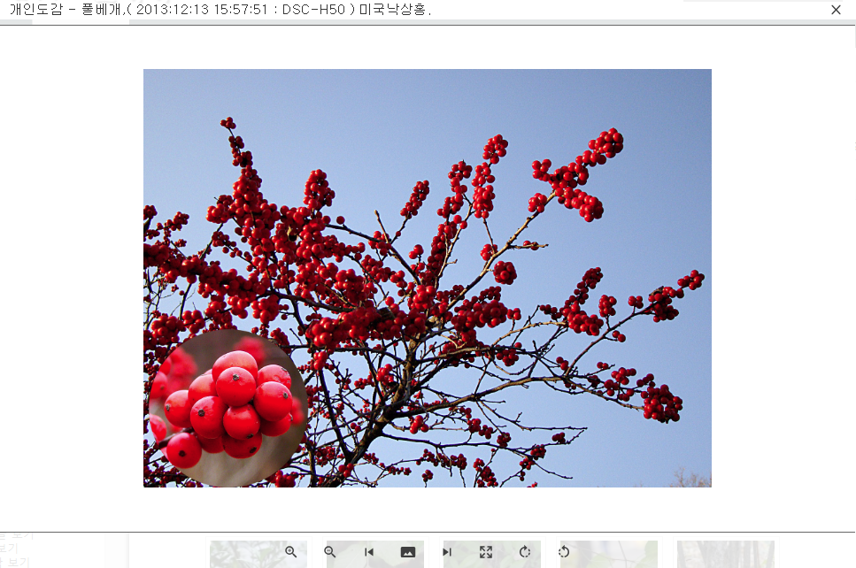 responsive photo viewer 애드온