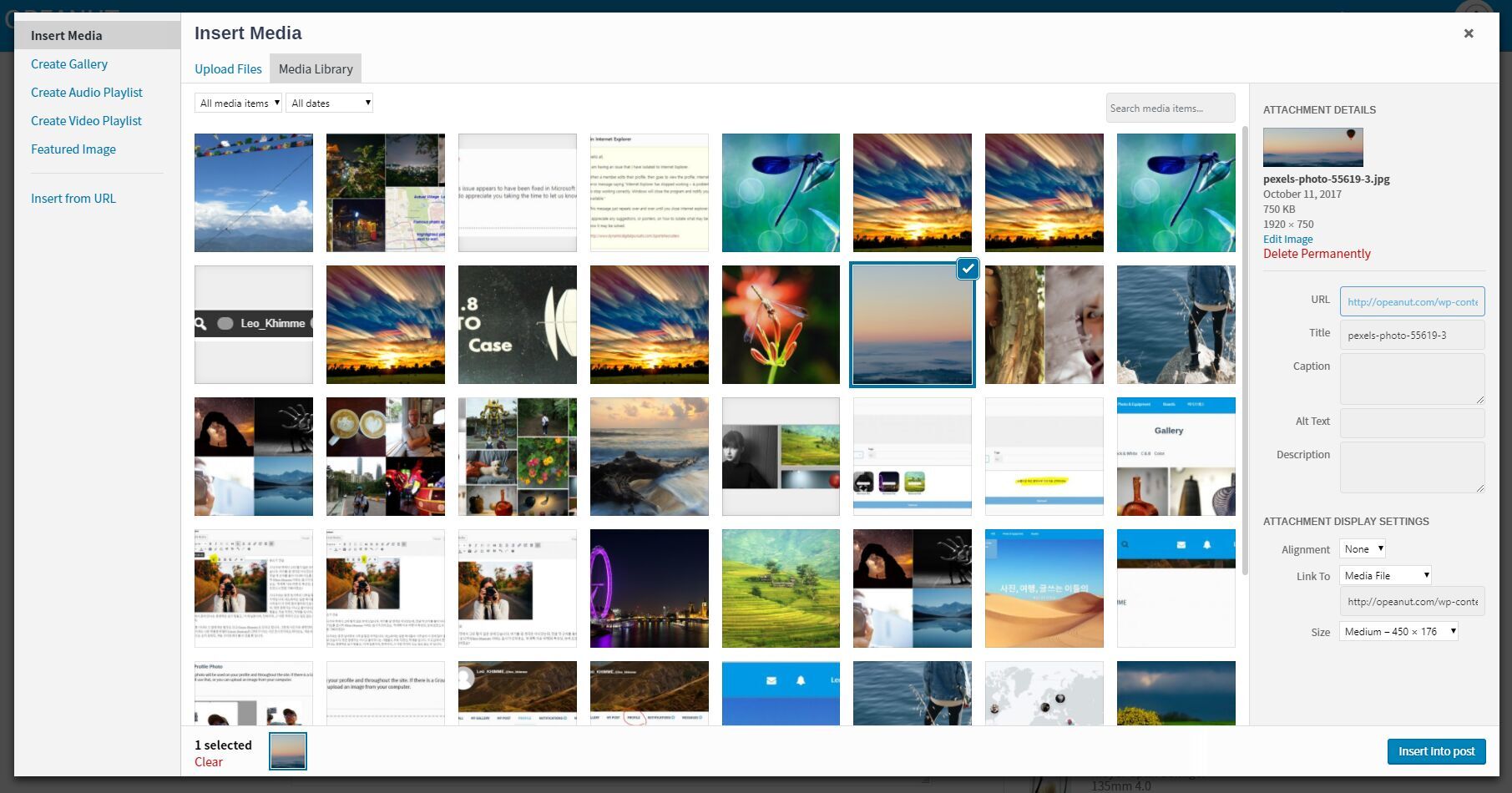 [워드프레스/Wordpress] options.php 저장이 안될 때