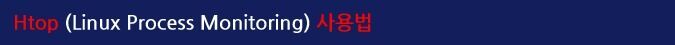 Htop (Linux Process Monitoring) 사용법