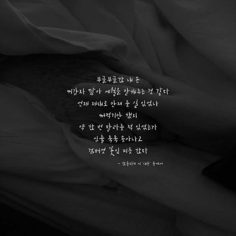 한충자 / 내손